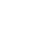 Whole-system focus icon