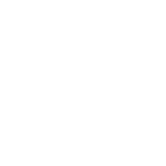 Proactive prevention icon